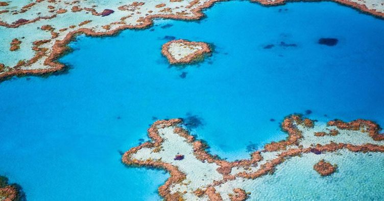 Cairns - Strand Luftaufnahme bei Reise und Urlaubsziele