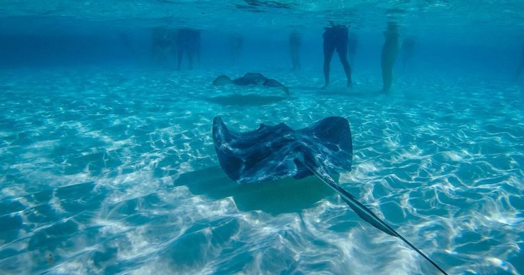 Cayman Islands / Cayman Islands bei Reise und Urlaubsziele