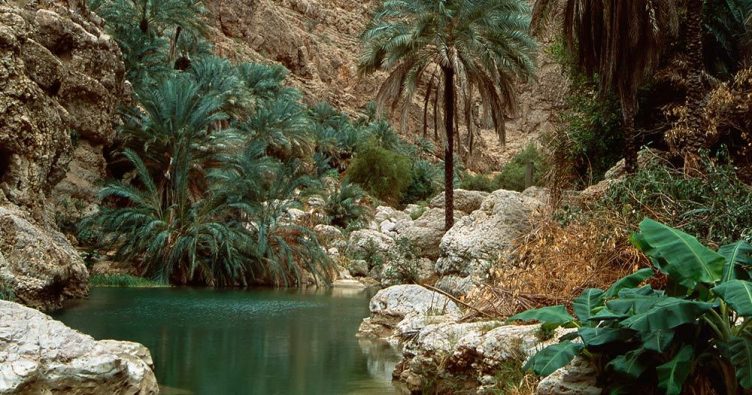 Wadi Shab - Panoramablick über Wadi Shab bei Reise und Urlaubsziele
