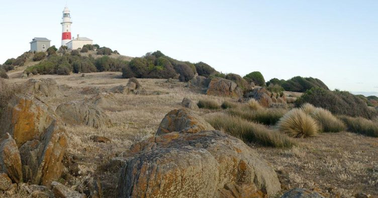 Tasmanien - Launceston bei Reise und Urlaubsziele
