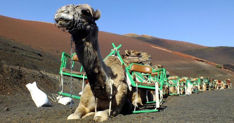 Timanfaya - Wegweiser bei Reise und Urlaubsziele
