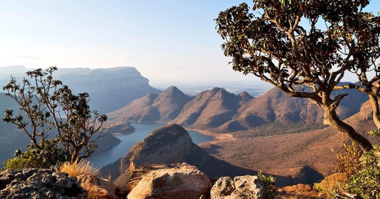 Blyde River Canyon - Panorama mit Baum im Vordergrund bei Reise und Urlaubsziele
