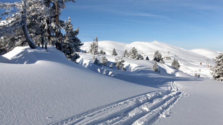 Fairbanks - Schneebedeckte Hügel mit vereinzelten Bäumen bei Reise und Urlaubsziele