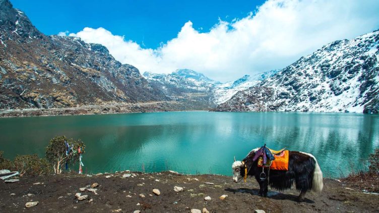 Sikkim - Blick von oben auf den Kalapokhri-See mit Tier davor bei Reise und Urlaubsziele
